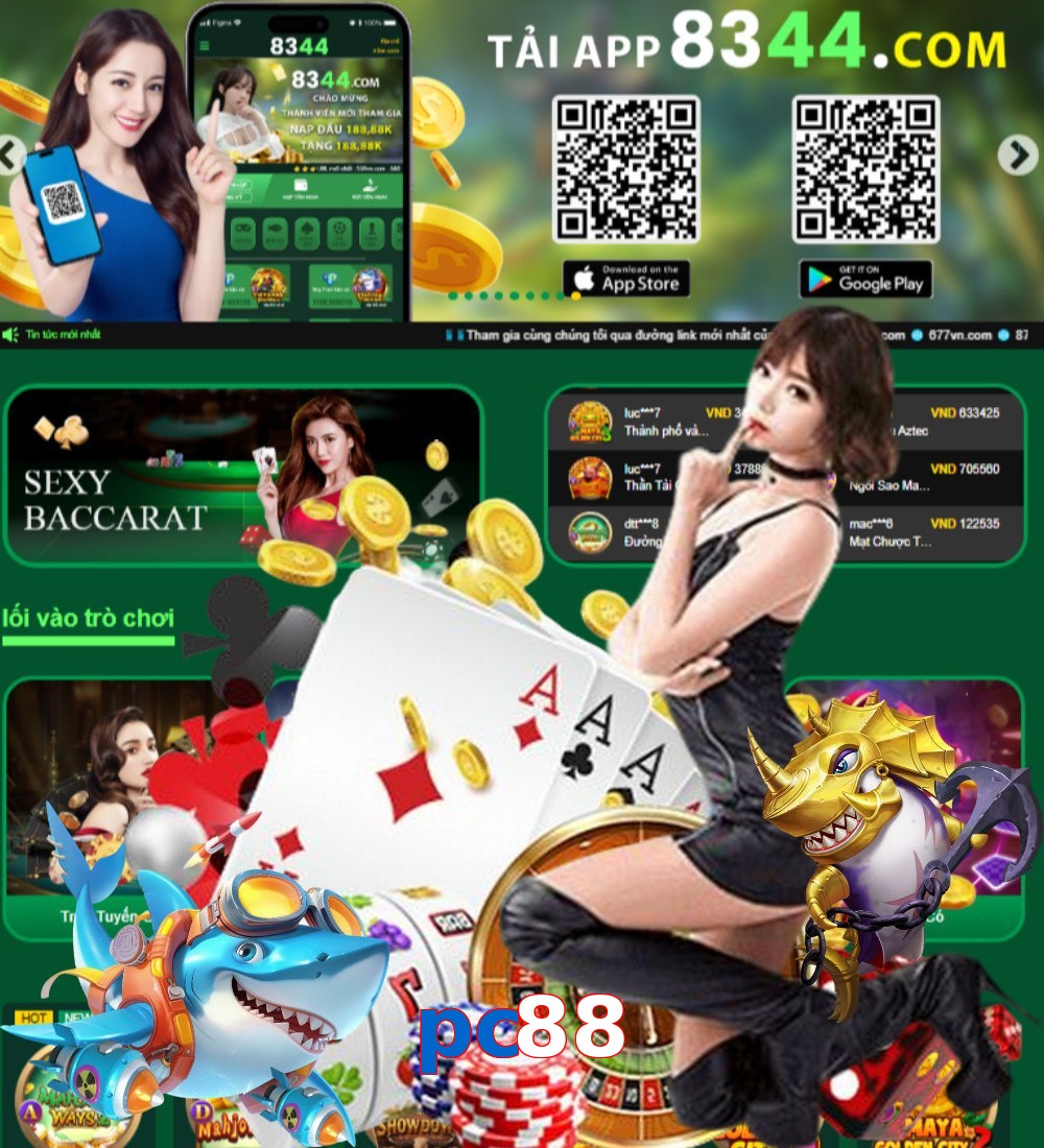 pc88